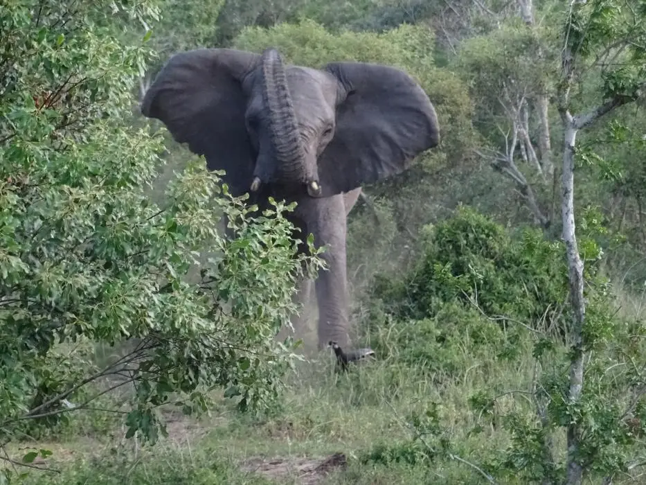 KZN25_jpg(148).jpg
