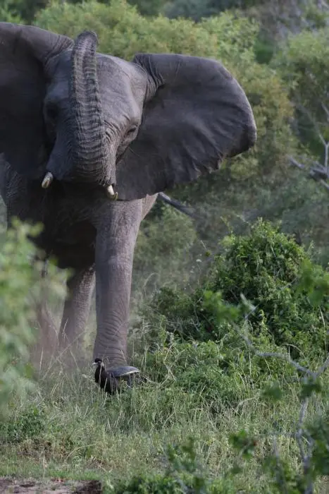 KZN25_jpg(151).jpg