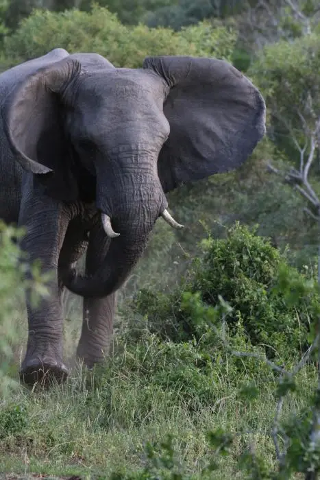KZN25_jpg(154).jpg