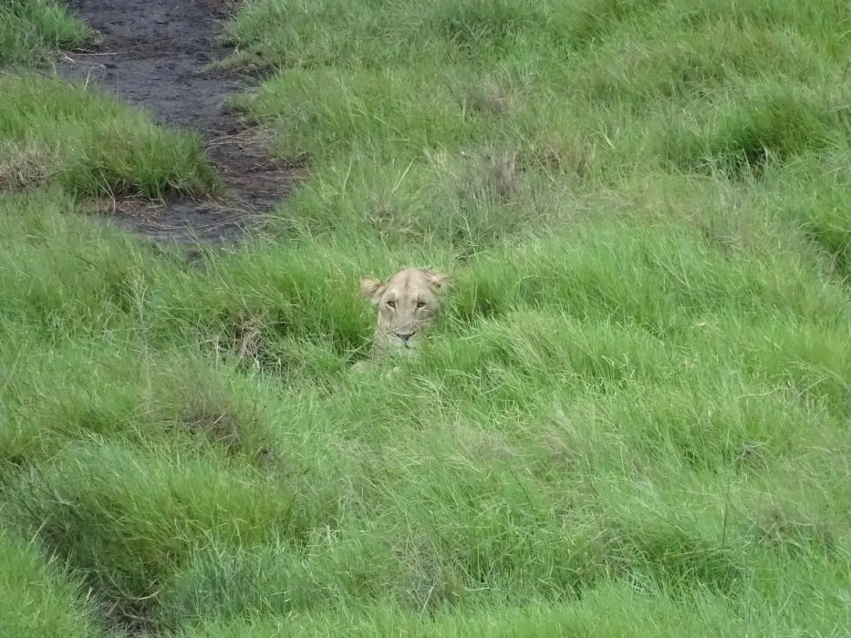 KZN25_jpg(18).jpg