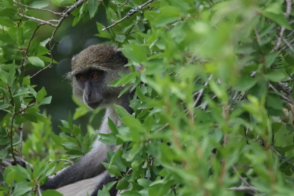 KZN25_jpg(21).jpg