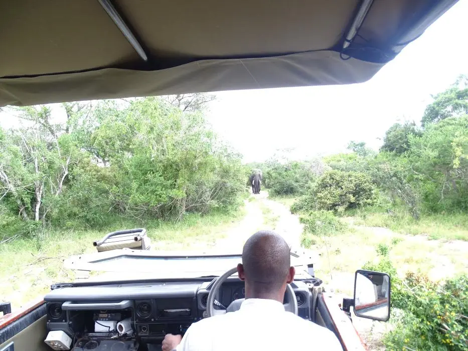 KZN25_jpg(36).jpg