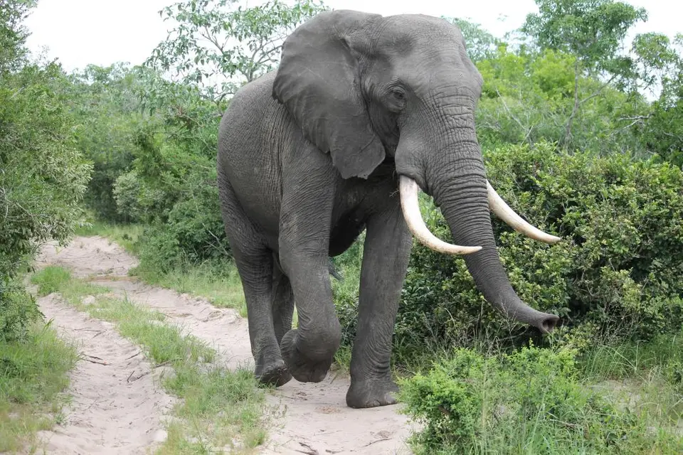 KZN25_jpg(42).jpg