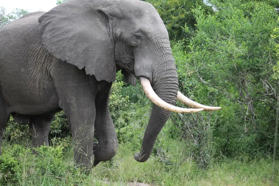 KZN25_jpg(43).jpg