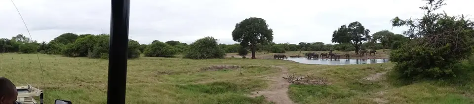 KZN25_jpg(44).jpg