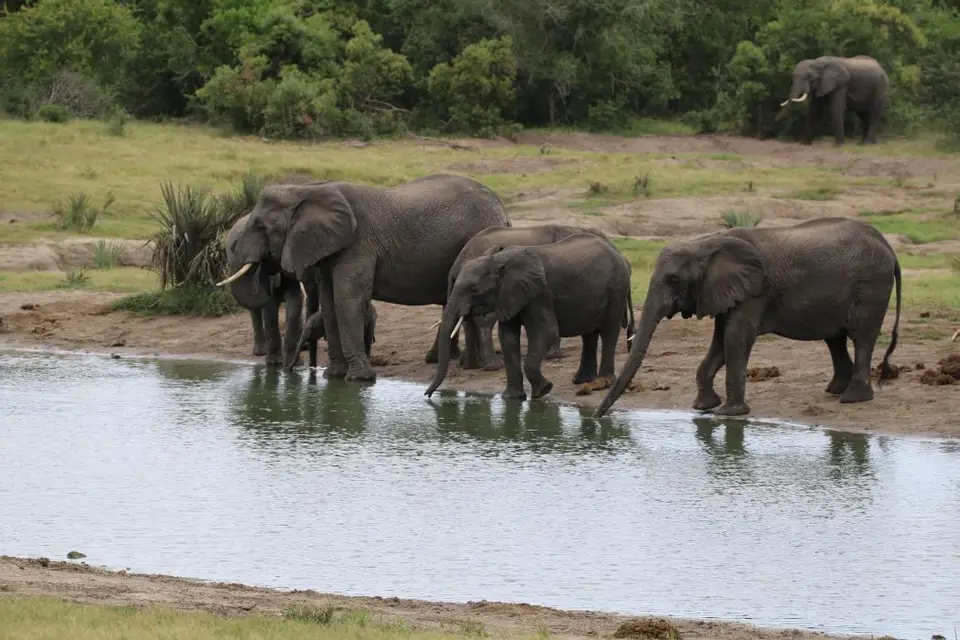 KZN25_jpg(45).jpg