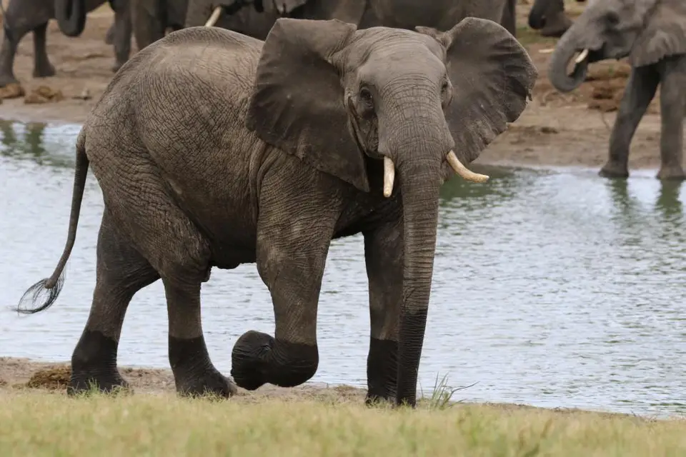 KZN25_jpg(48).jpg