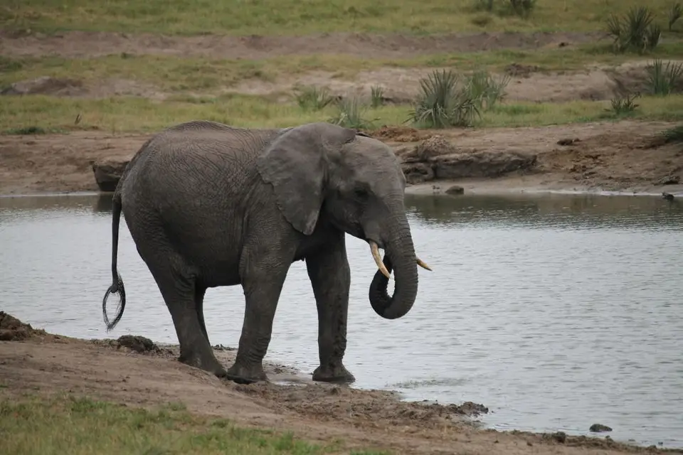 KZN25_jpg(63).jpg