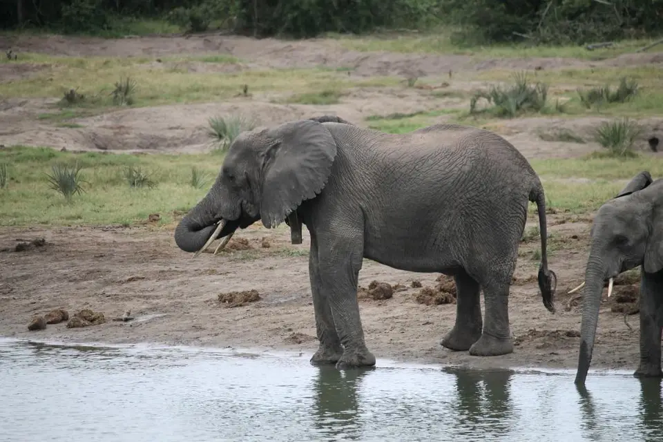 KZN25_jpg(65).jpg