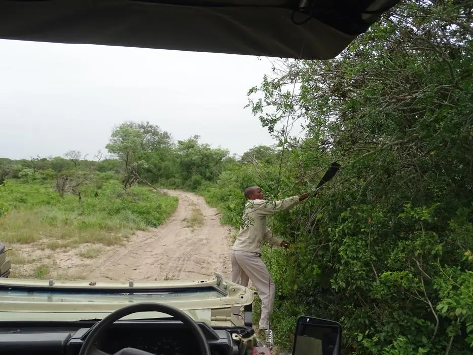 KZN25_jpg(7).jpg