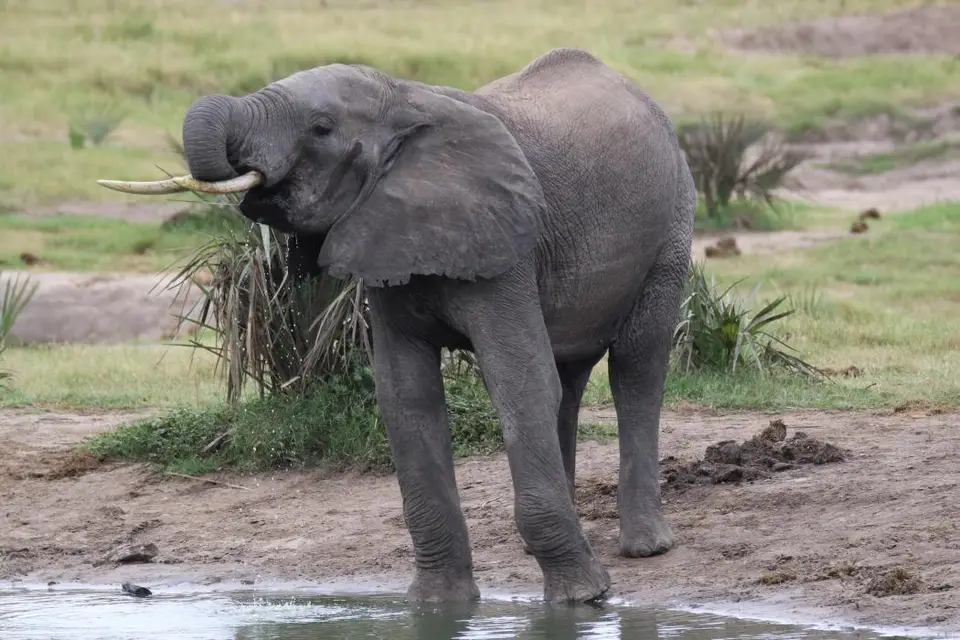 KZN25_jpg(77).jpg