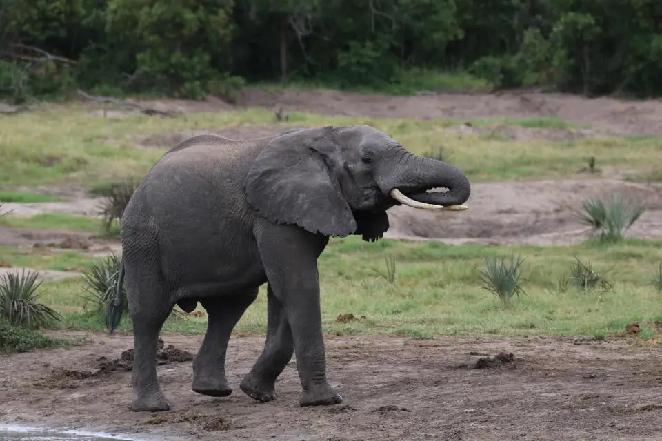 KZN25_jpg(81).jpg