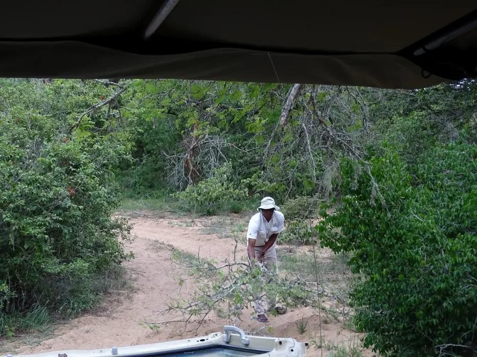 KZN26_(10).jpg