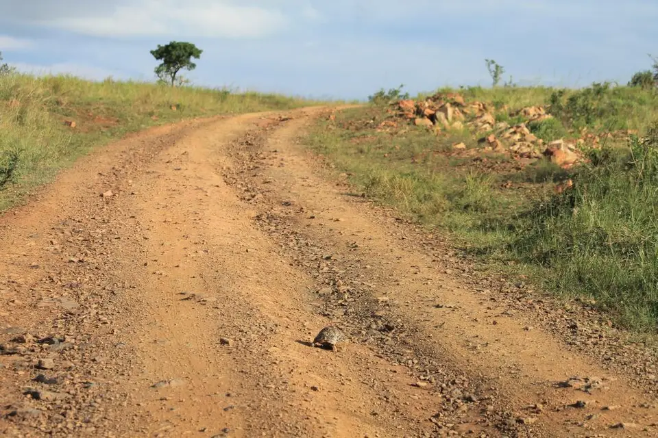 KZN26_(130).jpg