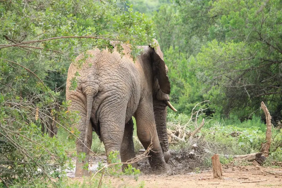 KZN27_(129).jpg