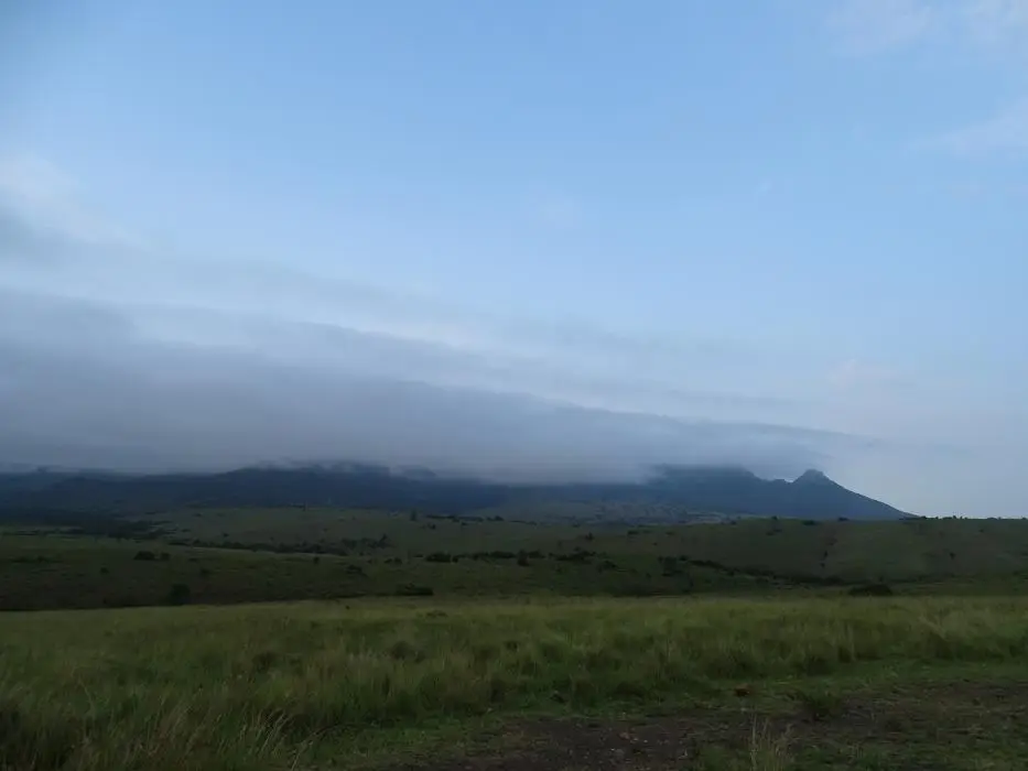 KZN27_(28).jpg