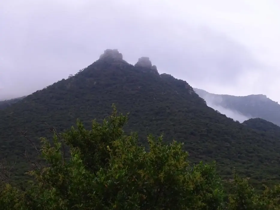 KZN27_(6).jpg