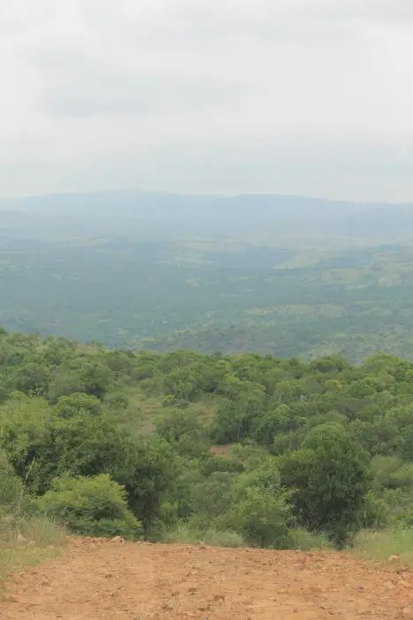 KZN27_(77).jpg