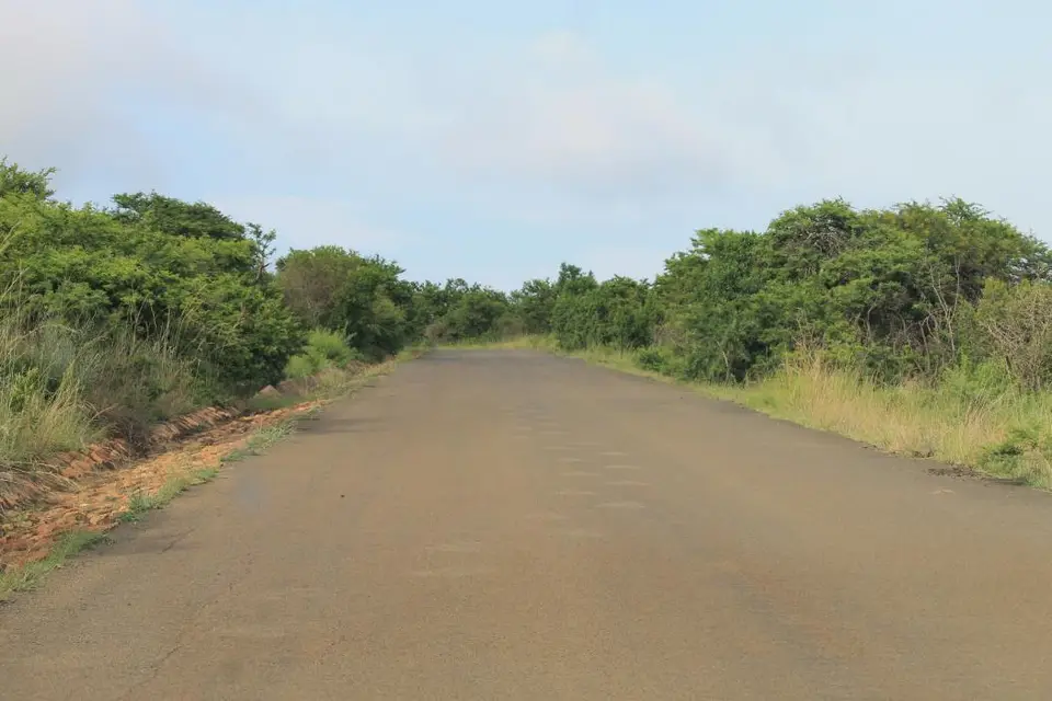 KZN28_(77).jpg