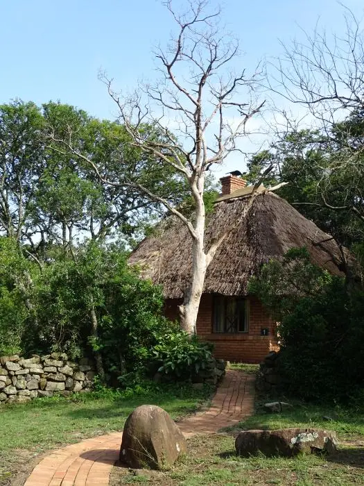 KZN28_(79).jpg
