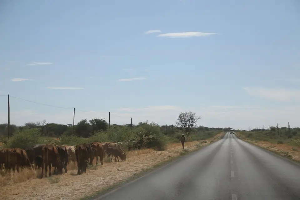 Namibia(9).jpg