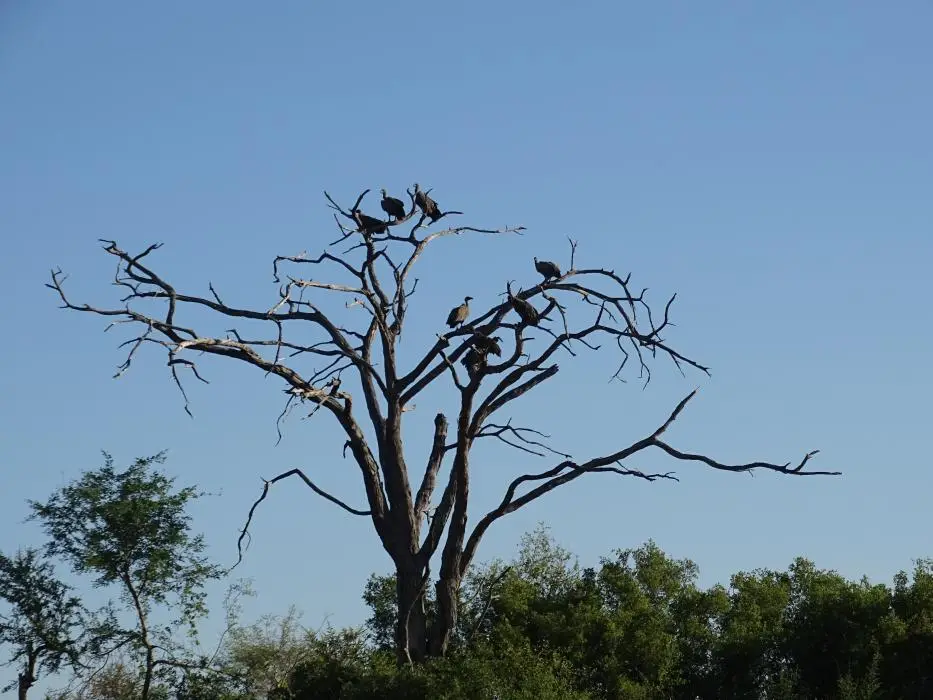 Namibia18_(116)-2-3-4.jpg