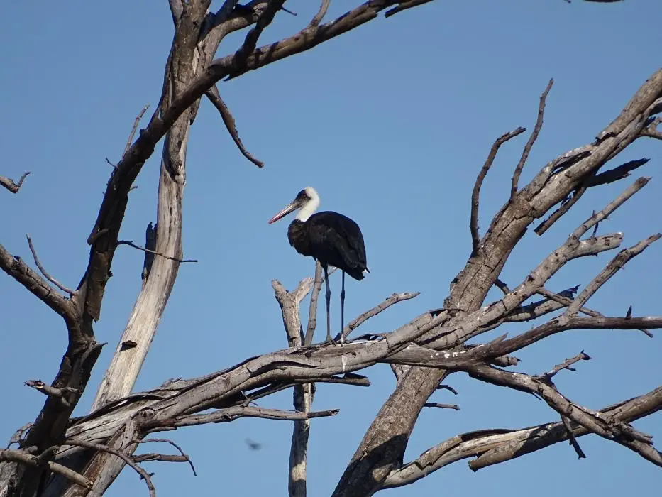 Namibia18_(28)-2-3-4.jpg