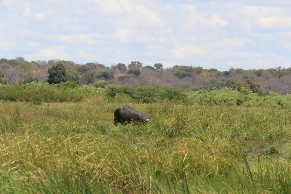 Namibia18_(31)-2-3.jpg