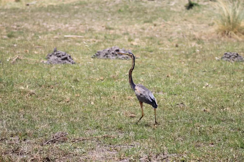 Namibia18_(65a)-2.jpg