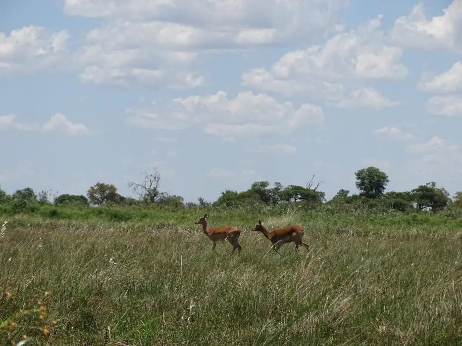 Namibia18_(76)-2-3-4.jpg