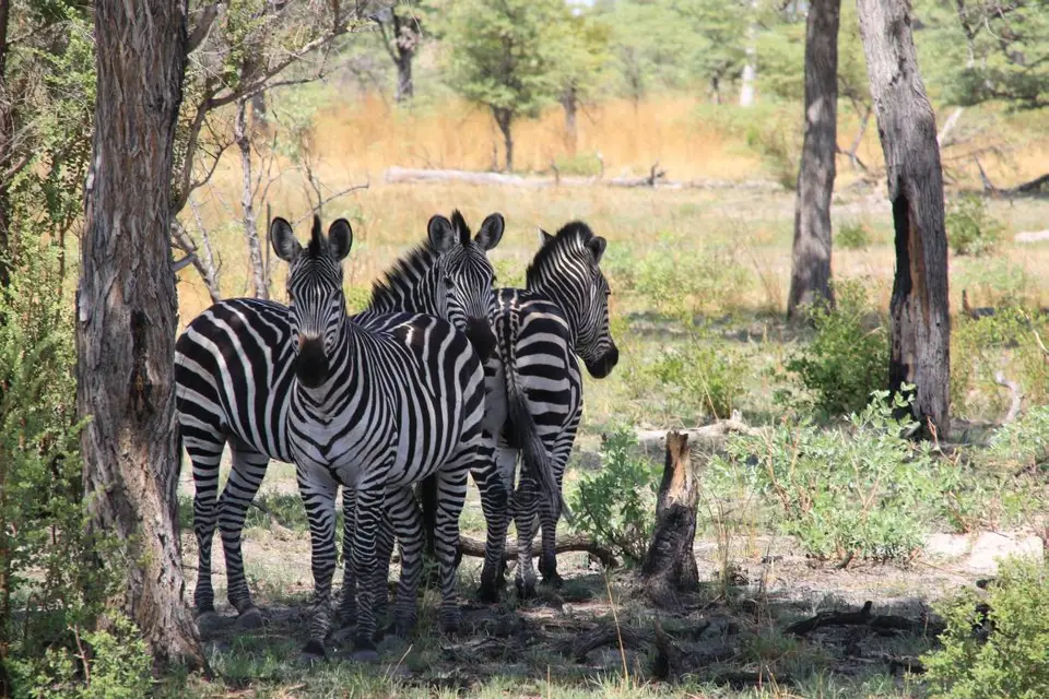 Namibia18_1(28)-2.jpg