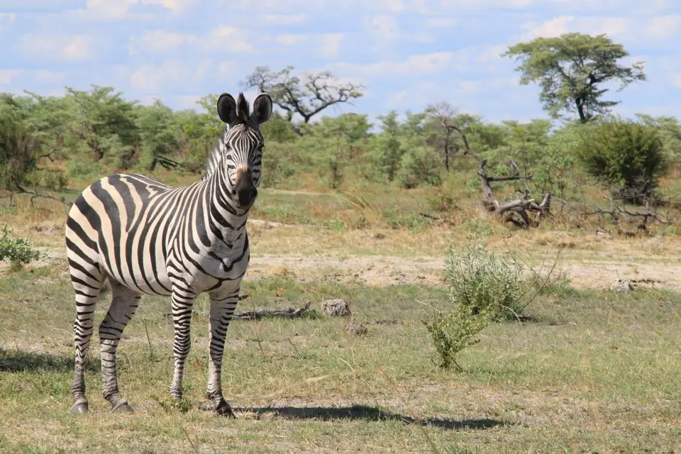 Namibia18_1(39)-2-3.jpg