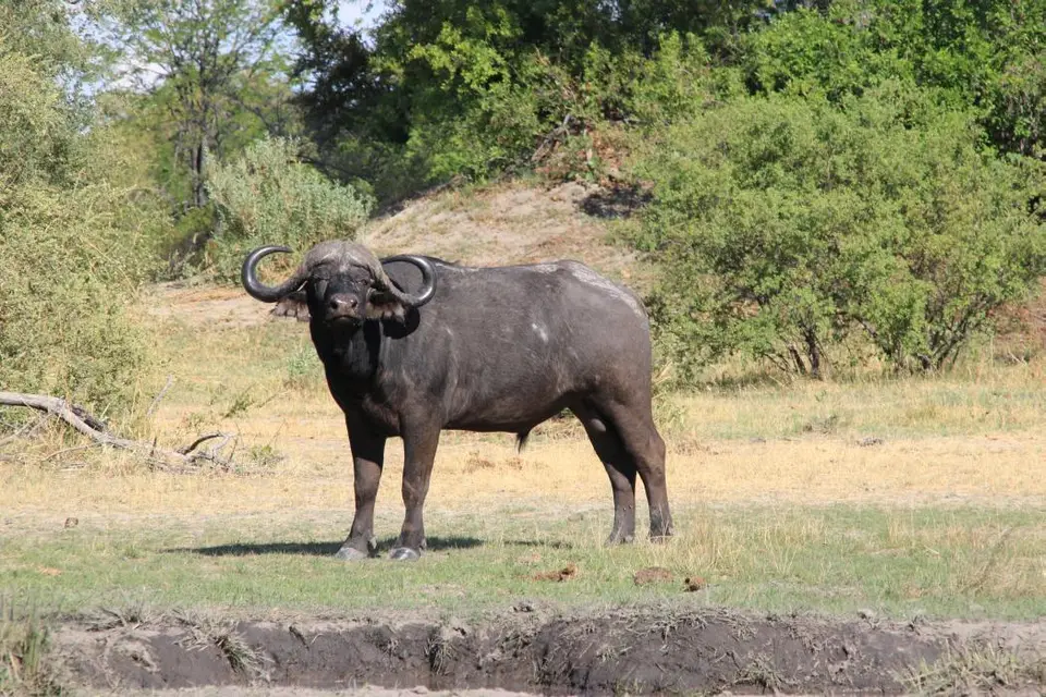 Namibia18_1(45)-2.jpg