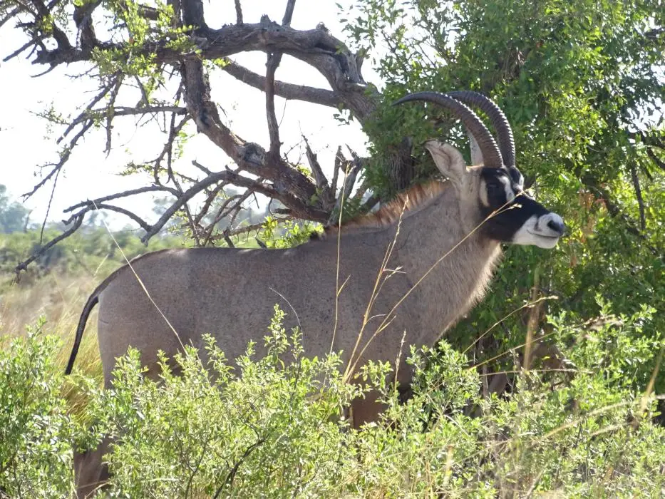 Namibia18_1(54)-2-3.jpg