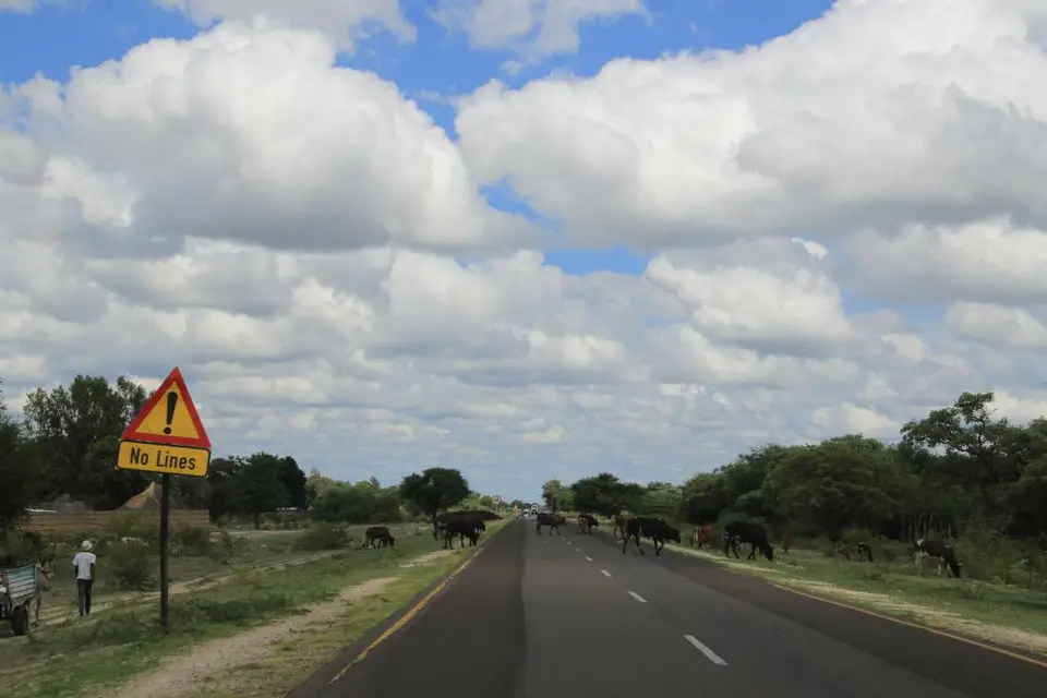 Namibia18_1(6)-2-3.jpg