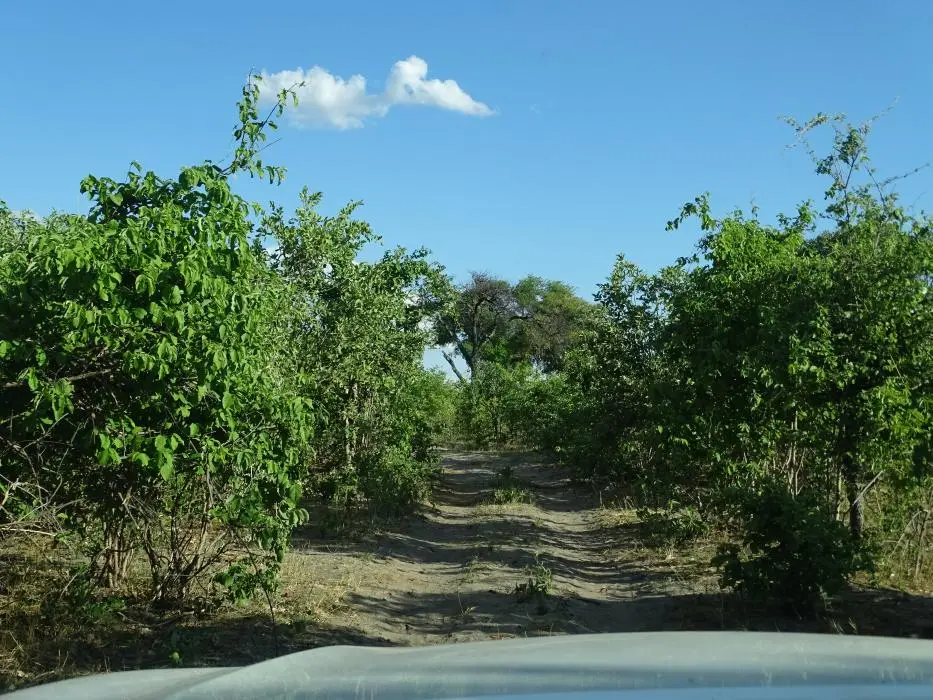 Namibia18_1(65)-2-3.jpg