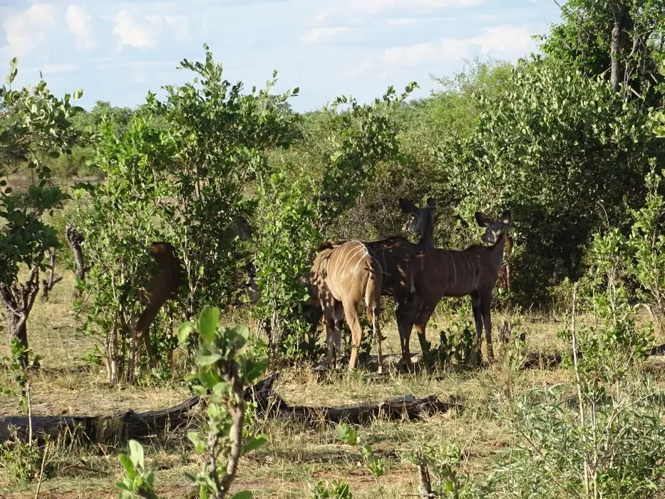 Namibia18_1(70)-2-3.jpg