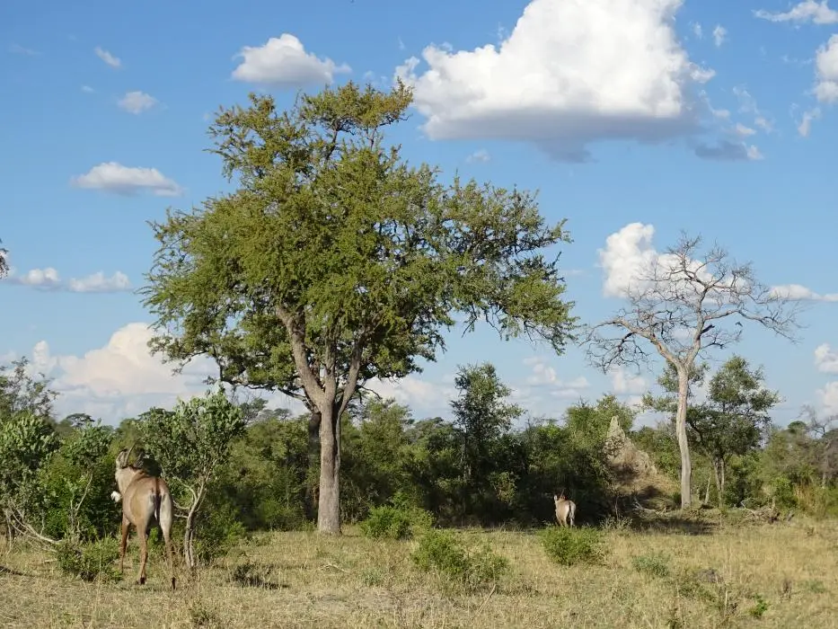 Namibia18_1(71)-2-3.jpg