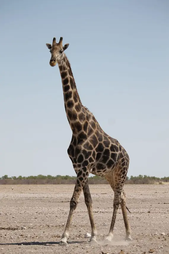 NamibiaNeu_16.jpg