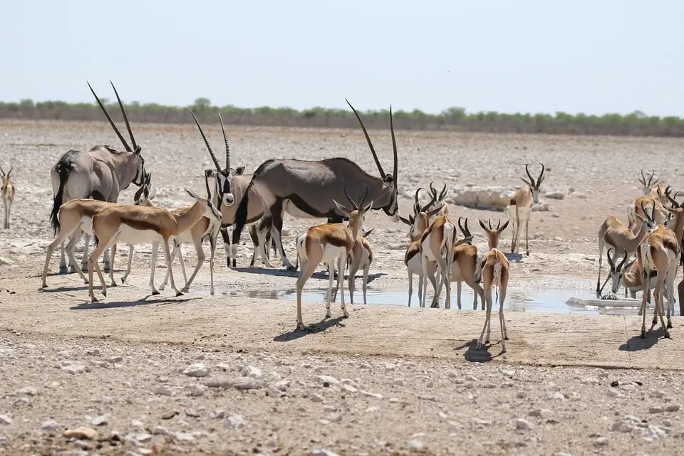 NamibiaNeu_17.jpg
