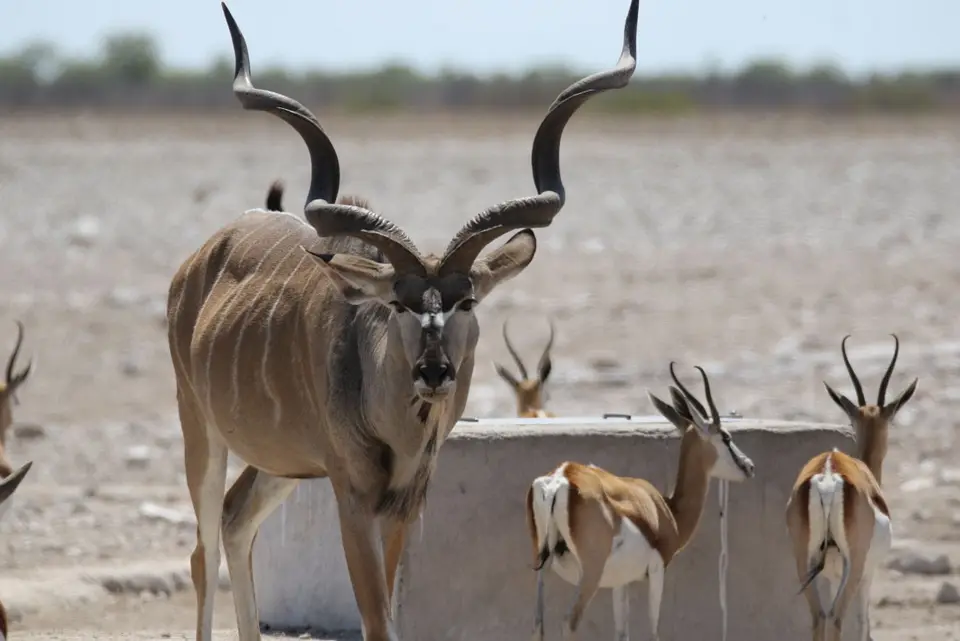 NamibiaNeu_19.jpg