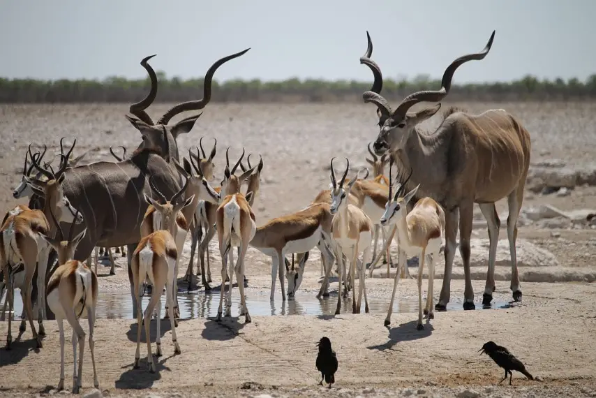NamibiaNeu_21.jpg