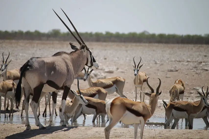 NamibiaNeu_23.jpg