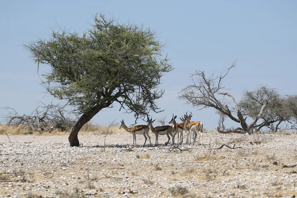 NamibiaNeu_24.jpg