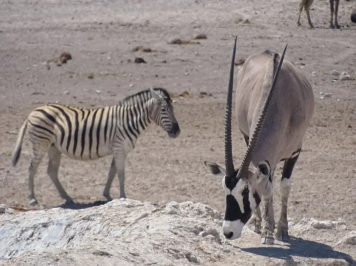 NamibiaNeu_25.jpg