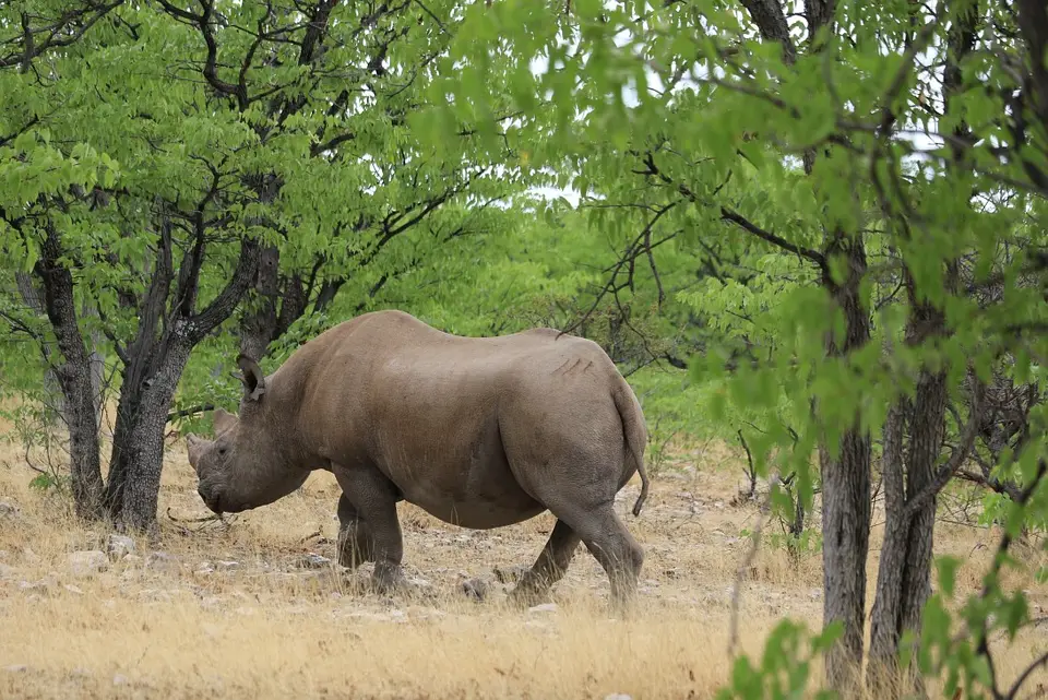 Namibia_(106)-2.jpg