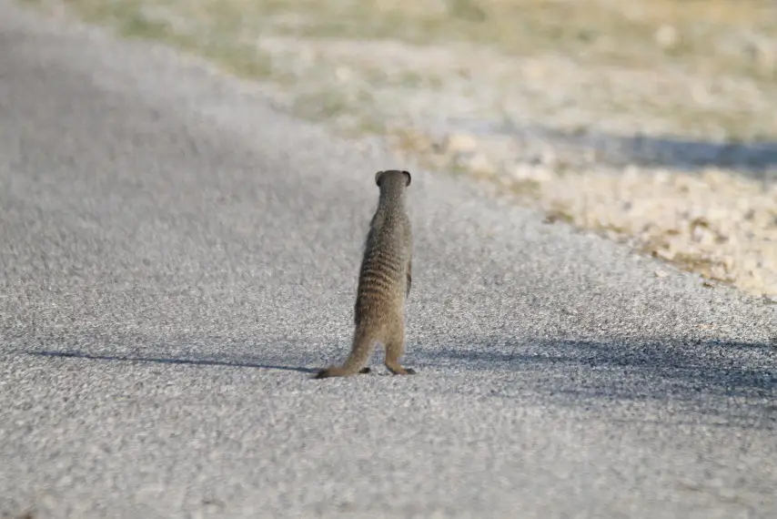 Namibia_(11).jpg