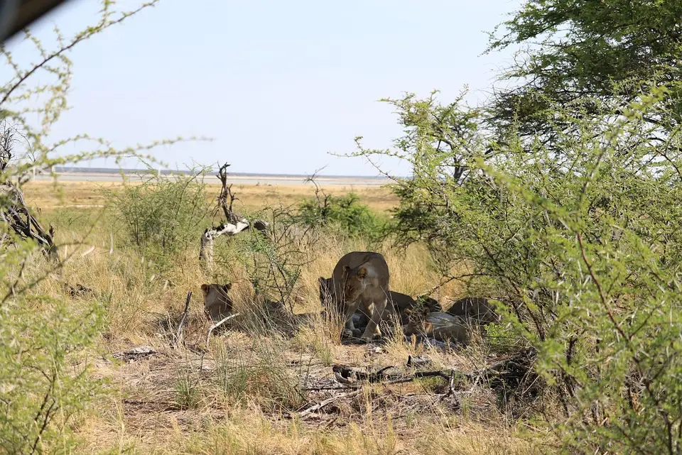 Namibia_(39).jpg