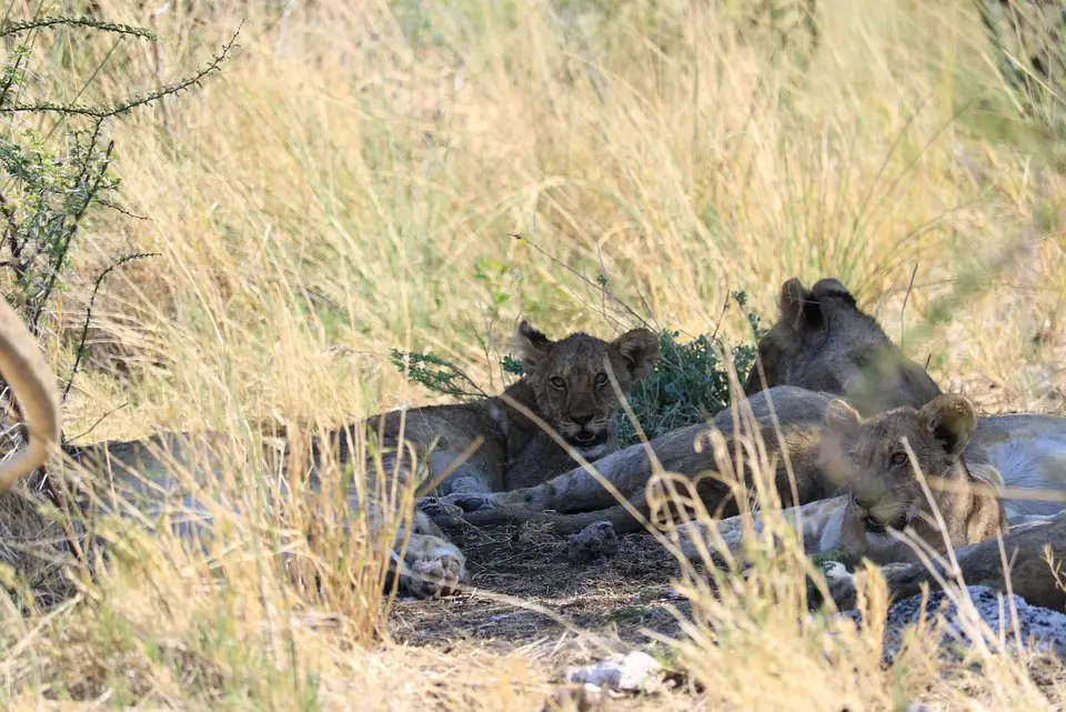 Namibia_(43).jpg