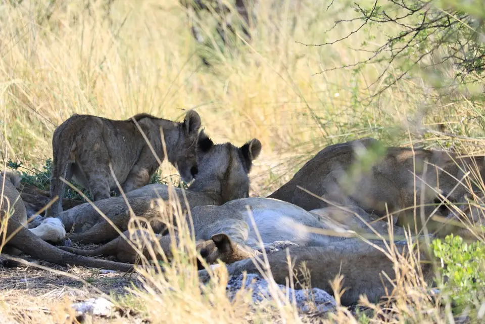 Namibia_(48).jpg